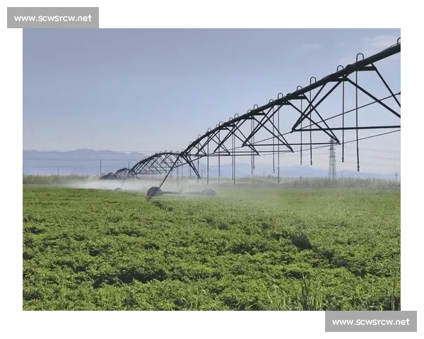 以生态增强驱动的区域绿色发展与系统韧性提升新路径探索综合实践